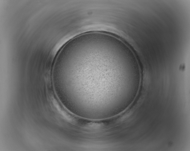X0000112981513200909031057