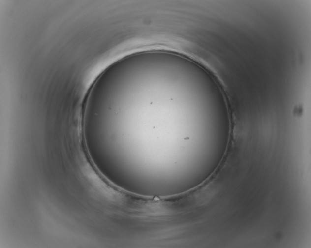 X0000112981516200909031057