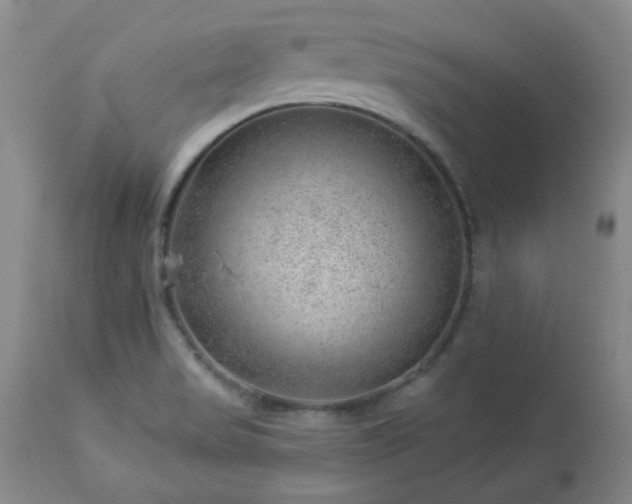 X0000112981517200909031057