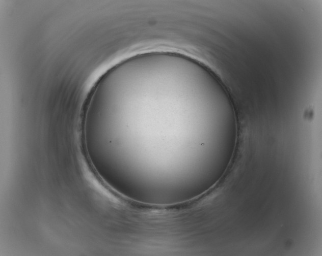 X0000112981518200909031057