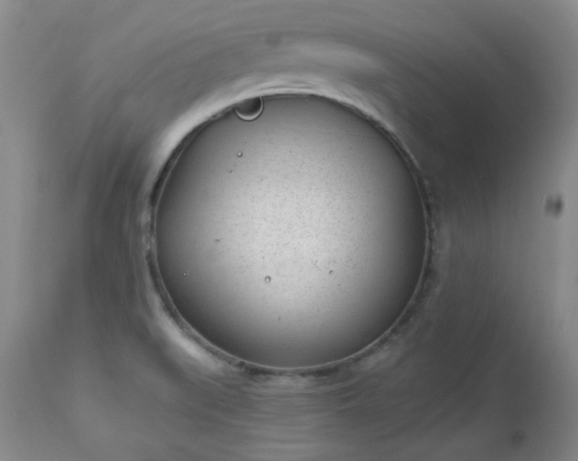 X0000112981519200909031057