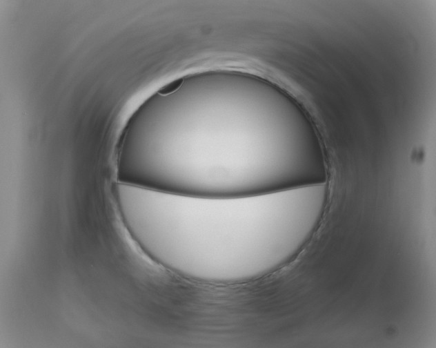 X0000112981520200909031057