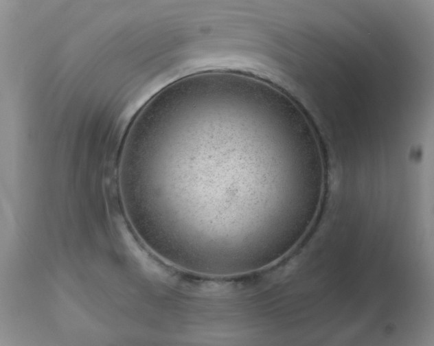 X0000112981521200909031057