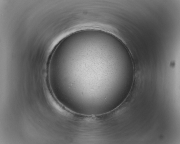 X0000112981523200909031057