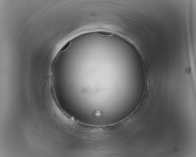 X0000112981524200909031057