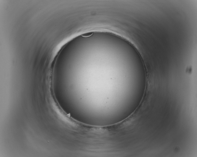 X0000112981526200909031057