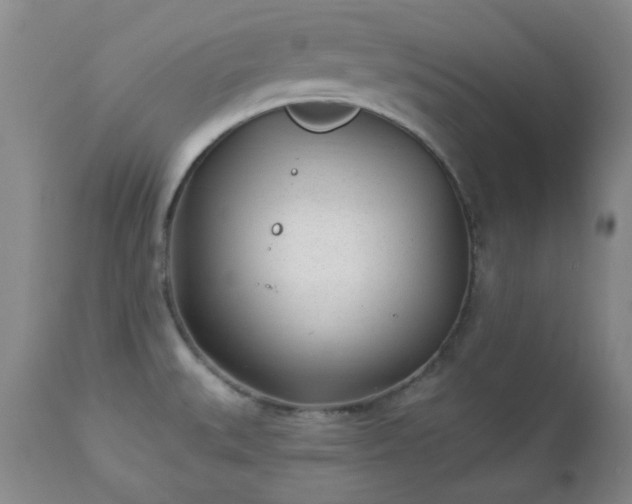 X0000112981527200909031057