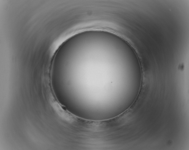 X0000112981530200909031057