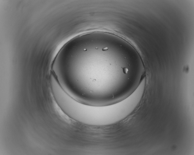 X0000112981532200909031057