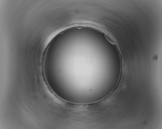 X0000112981533200909031057