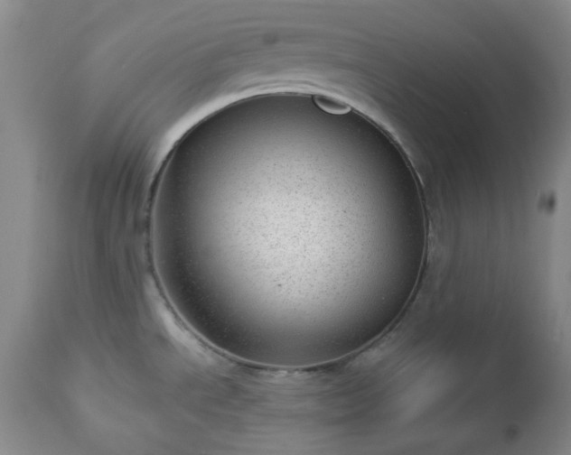 X0000112981534200909031057