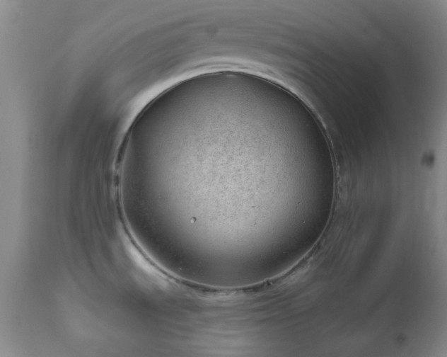X0000112981535200909031057