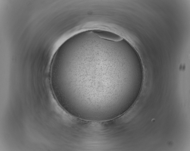 X0000112981536200909031057