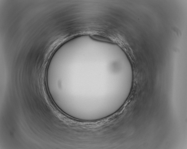 X0000112980001200909101724