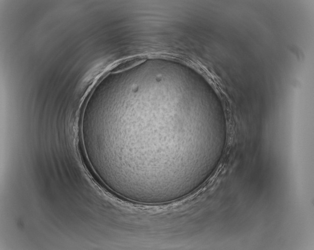 X0000112980002200909101724