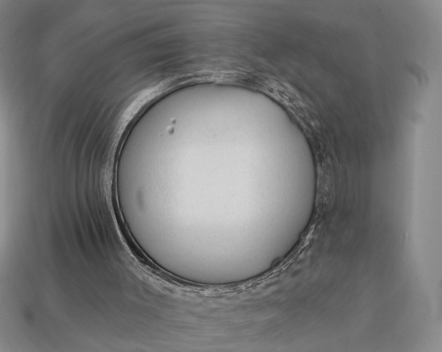 X0000112980003200909101724