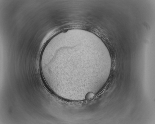 X0000112980004200909101724