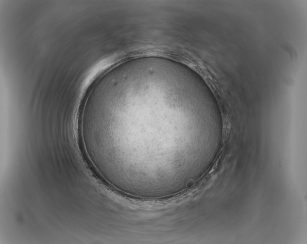 X0000112980006200909101724