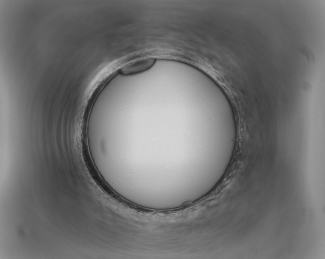 X0000112980007200909101724