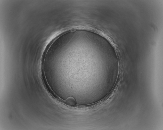 X0000112980008200909101724