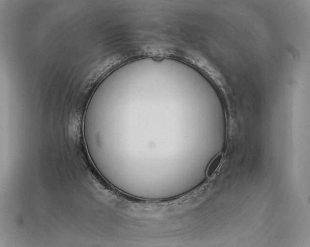 X0000112980009200909101724