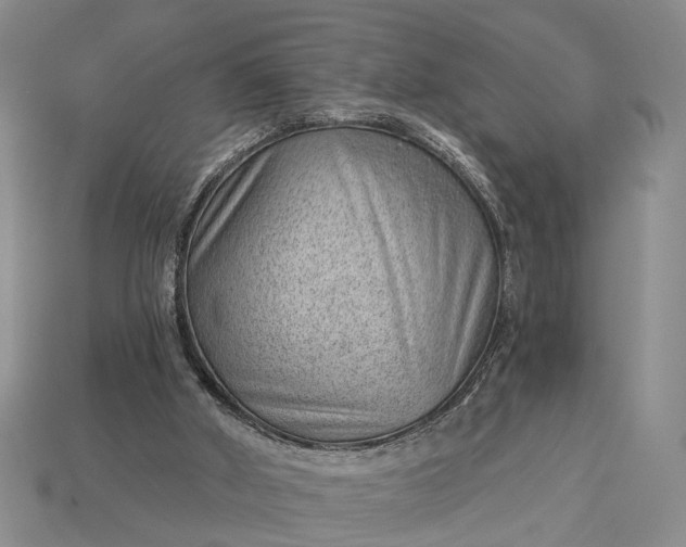 X0000112980010200909101724