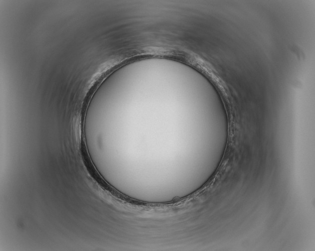 X0000112980011200909101724