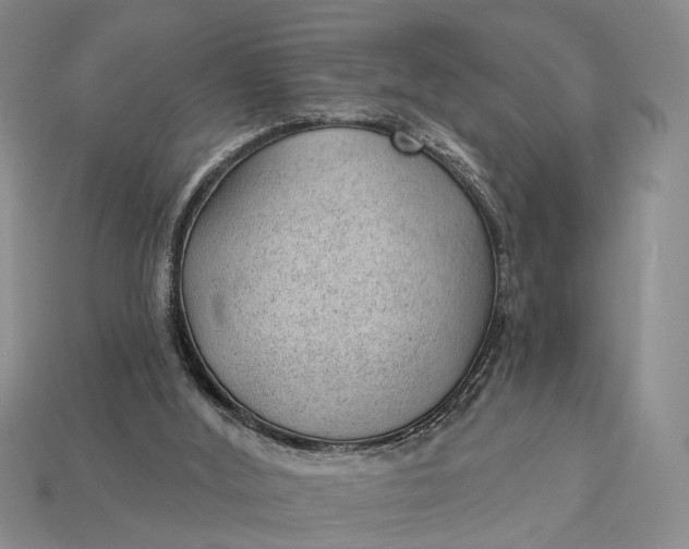 X0000112980012200909101724