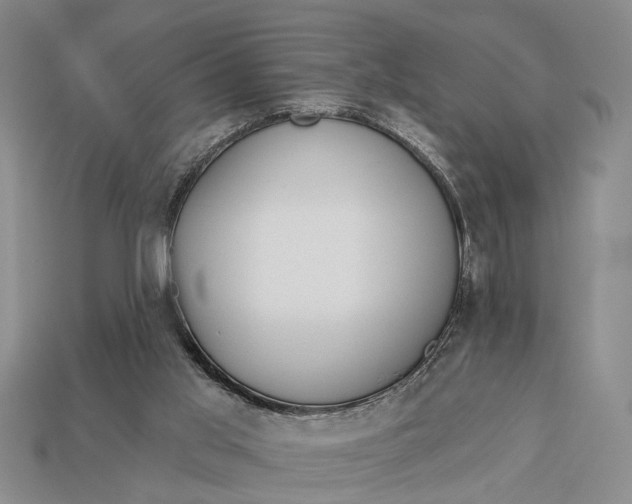 X0000112980013200909101724