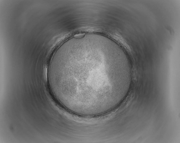 X0000112980014200909101724