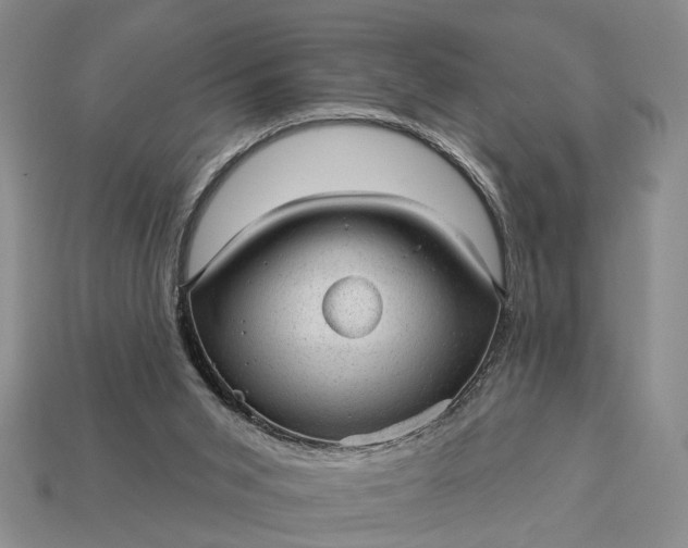 X0000112980015200909101724