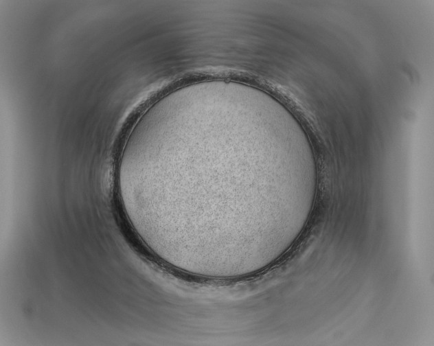 X0000112980016200909101724