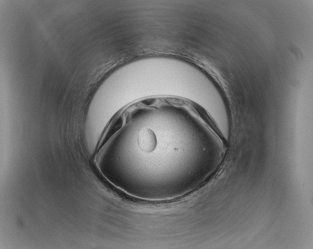 X0000112980017200909101724