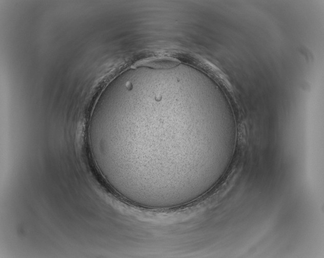 X0000112980018200909101724