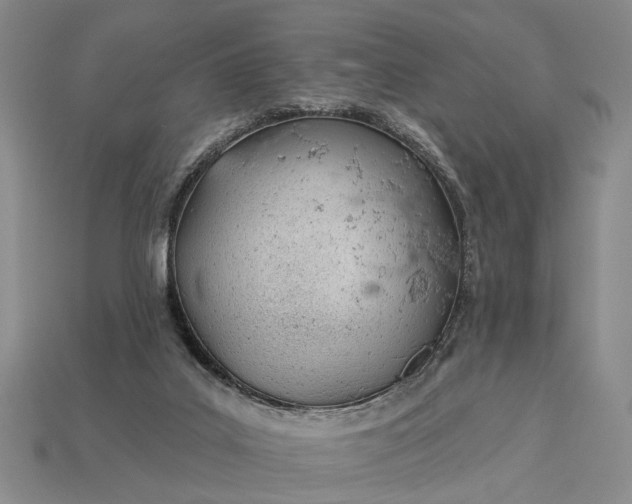 X0000112980019200909101724