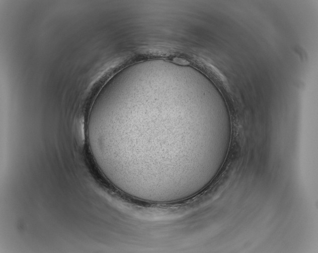 X0000112980020200909101723