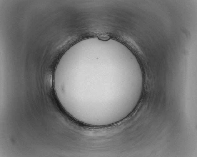 X0000112980021200909101723