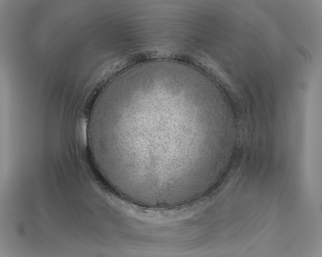 X0000112980022200909101723