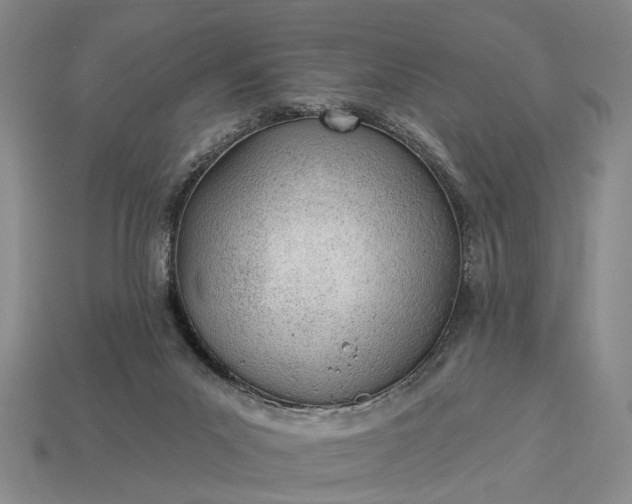 X0000112980023200909101723