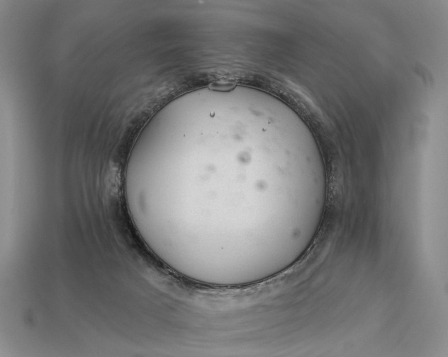 X0000112980025200909101723