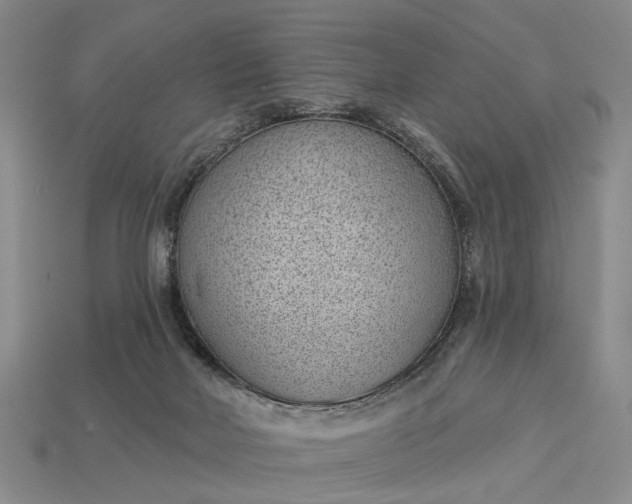 X0000112980026200909101723