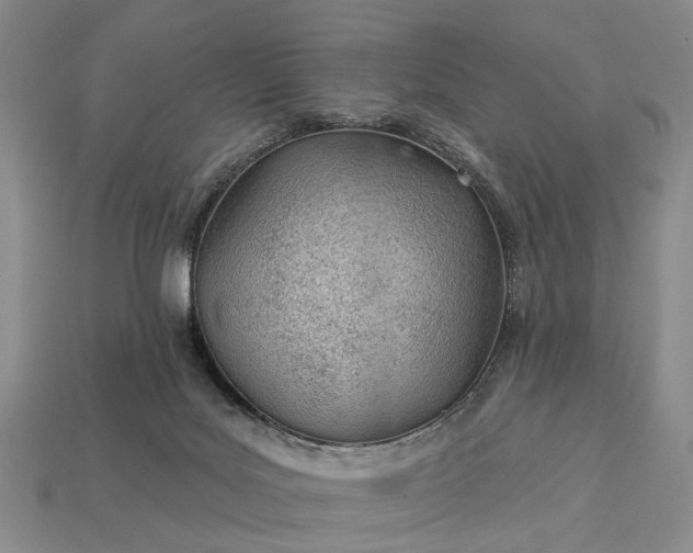 X0000112980027200909101723