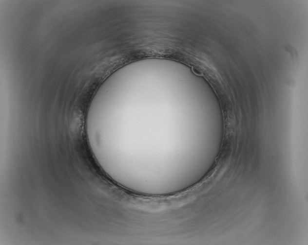 X0000112980029200909101723