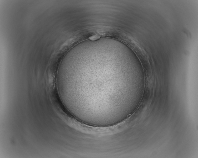 X0000112980031200909101723