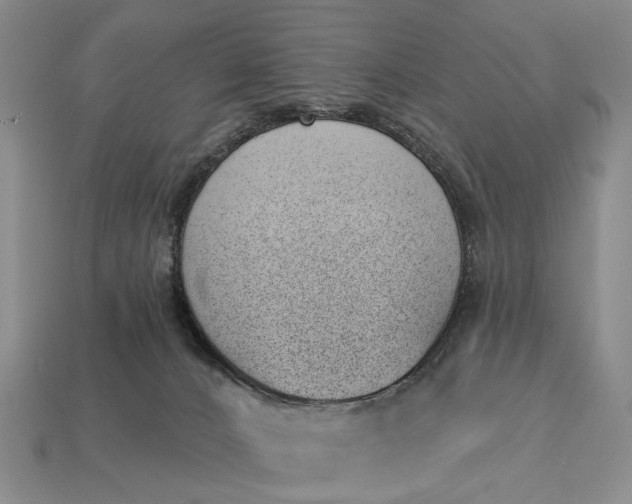 X0000112980032200909101723