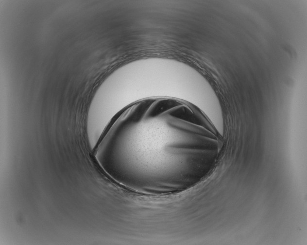 X0000112980033200909101723