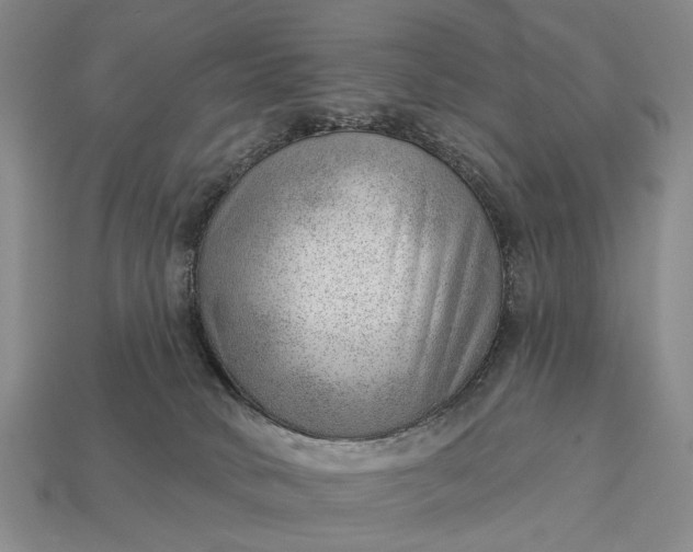 X0000112980034200909101723