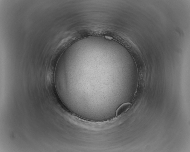 X0000112980035200909101723