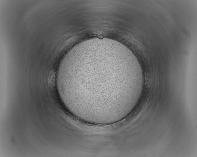 X0000112980036200909101723