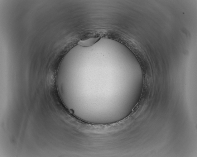 X0000112980037200909101723